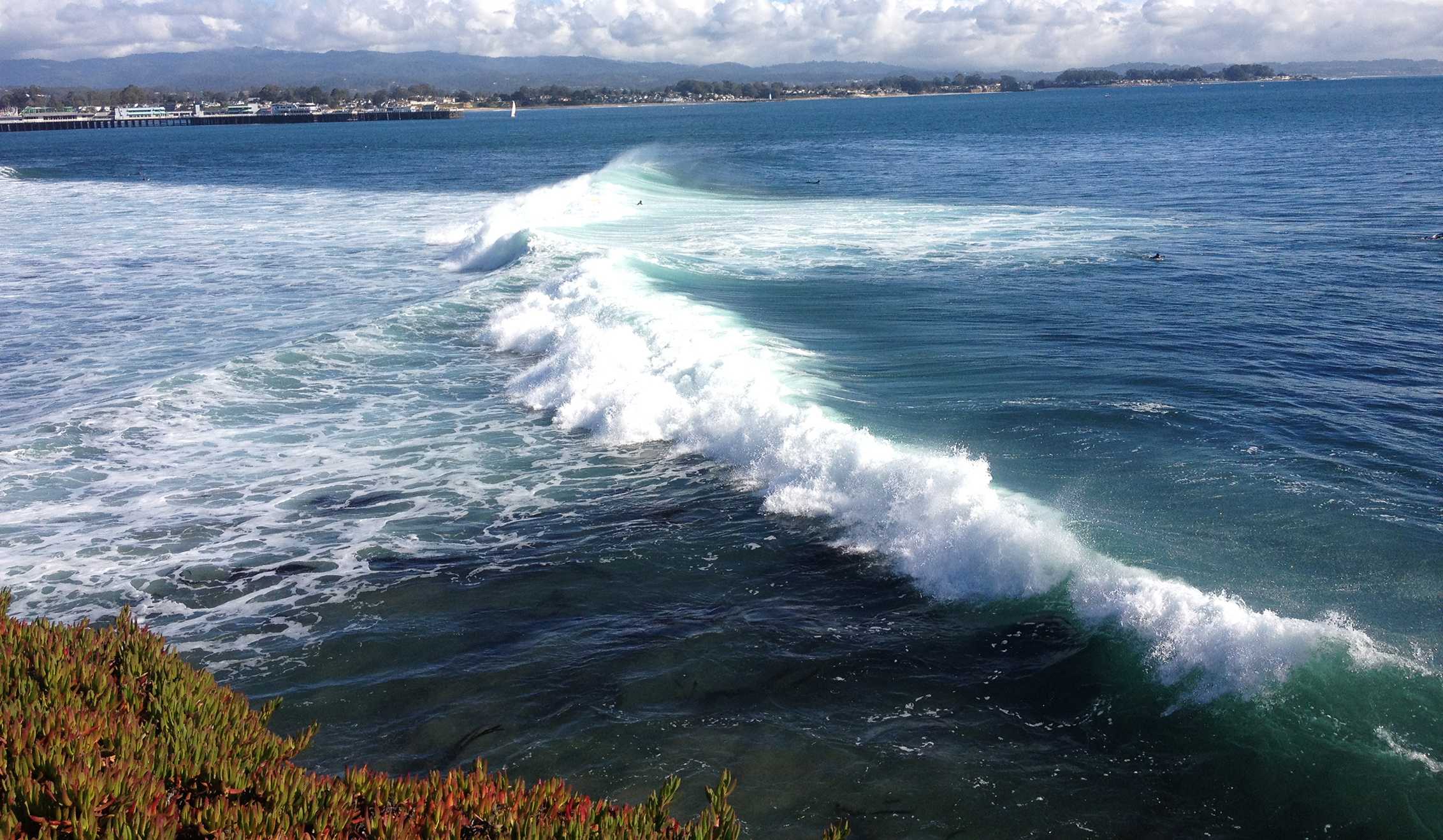 Santa Cruz lifts water restrictions after great white shark attack