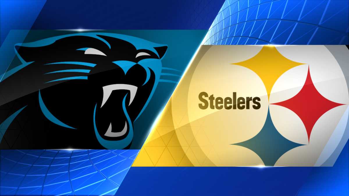 steelers panthers