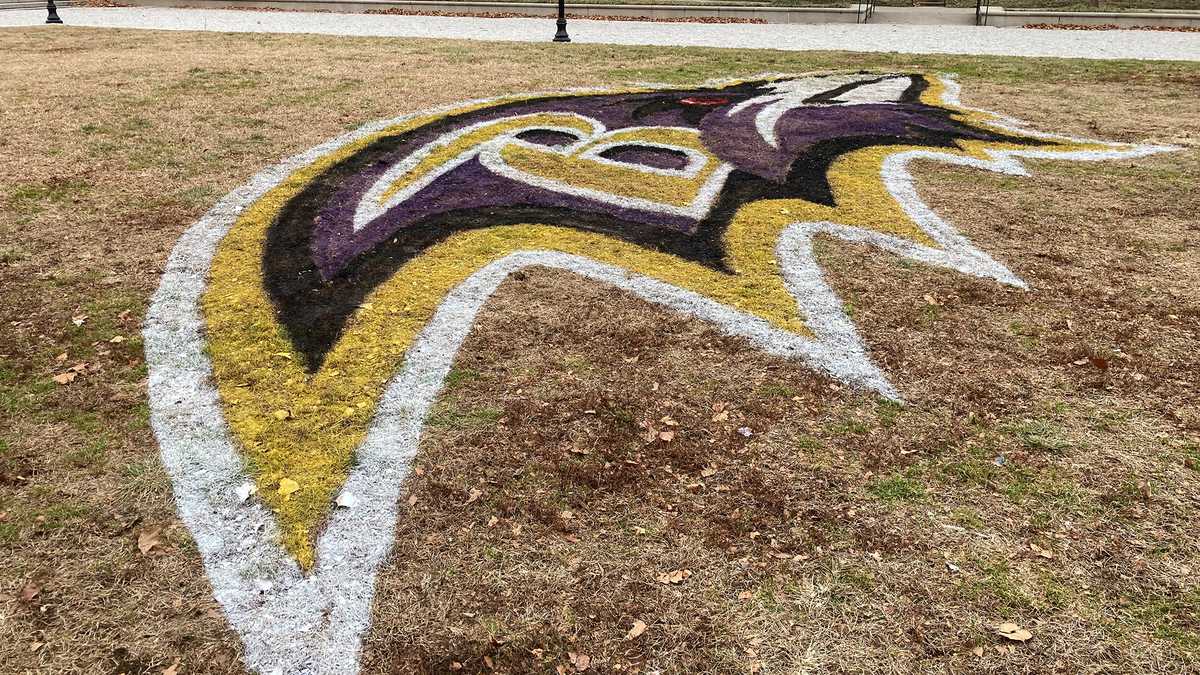 Ravens stencil team logo across Baltimore ahead of playoffs