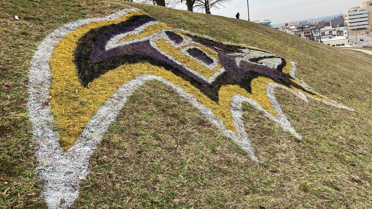 Baltimore Ravens announce car stenciling, pop-up shop, other activities for  playoff week