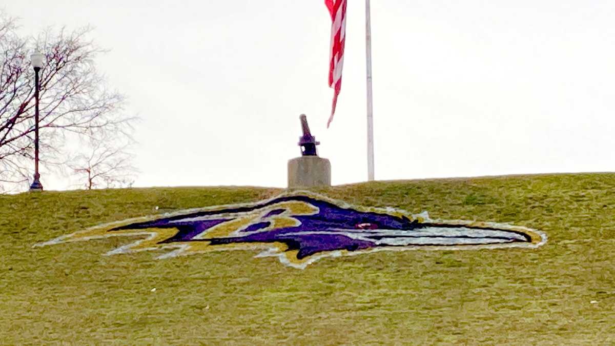 Ravens stencil team logo across Baltimore ahead of playoffs