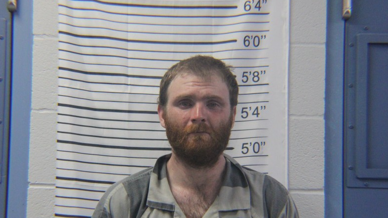 Georgia man facing felony charges after stealing two cars