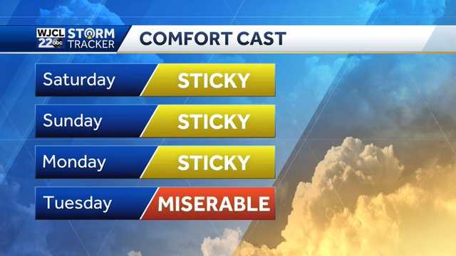 Savannah: Isolated thunderstorms possible...umbrella on standby - Vimarsana News