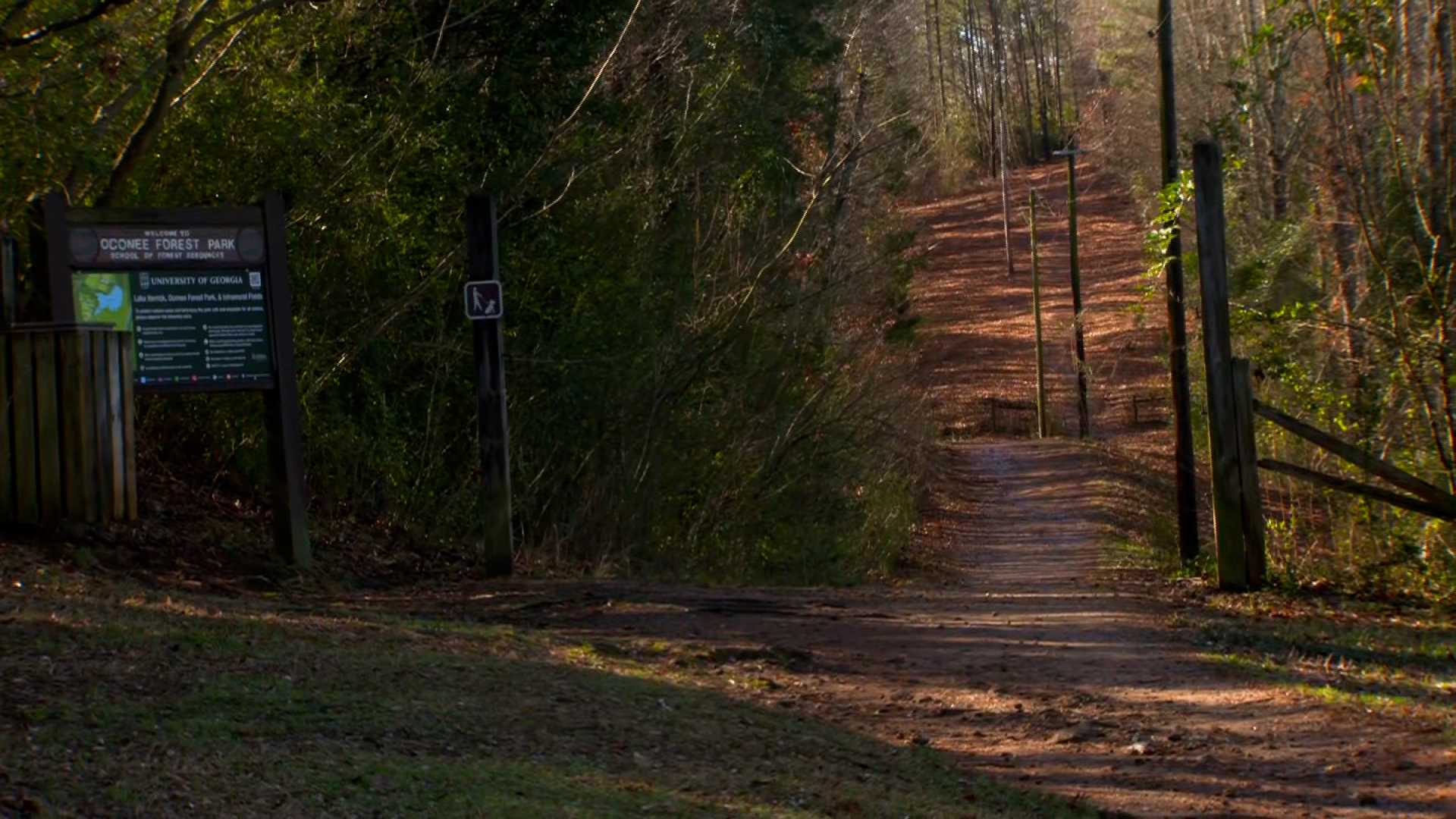 Nursing student found dead on the University of Georgia campus - Vimarsana News