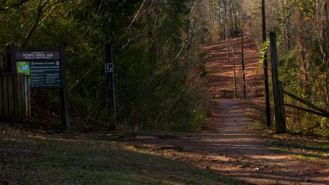 Nursing student found dead on the University of Georgia campus - Vimarsana News