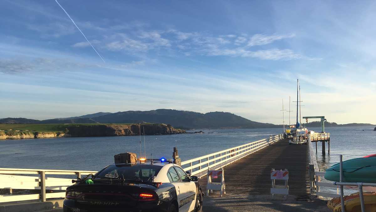 Stillwater Cove shark attack