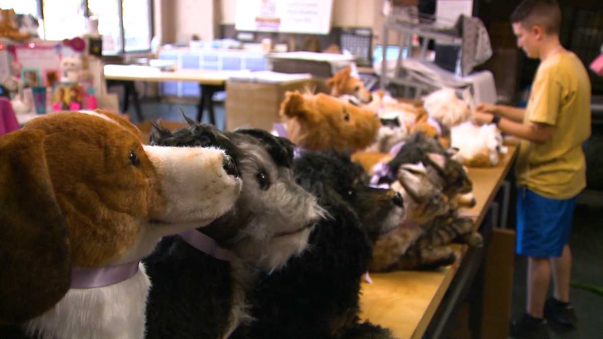 Cute animals on demand Business makes pet toy lookalikes, fetches