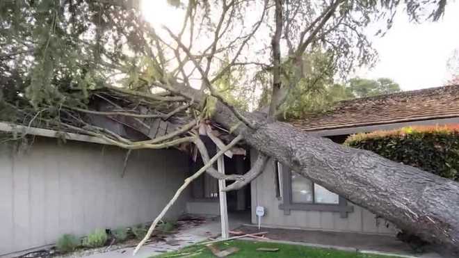Strong winds in Sacramento area down tree limbs, affect driving conditions