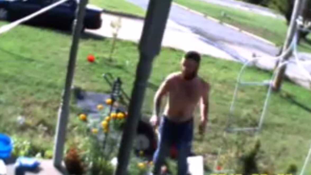 Shirtless man caught on camera stealing lawn mower from metro yard - KOCO