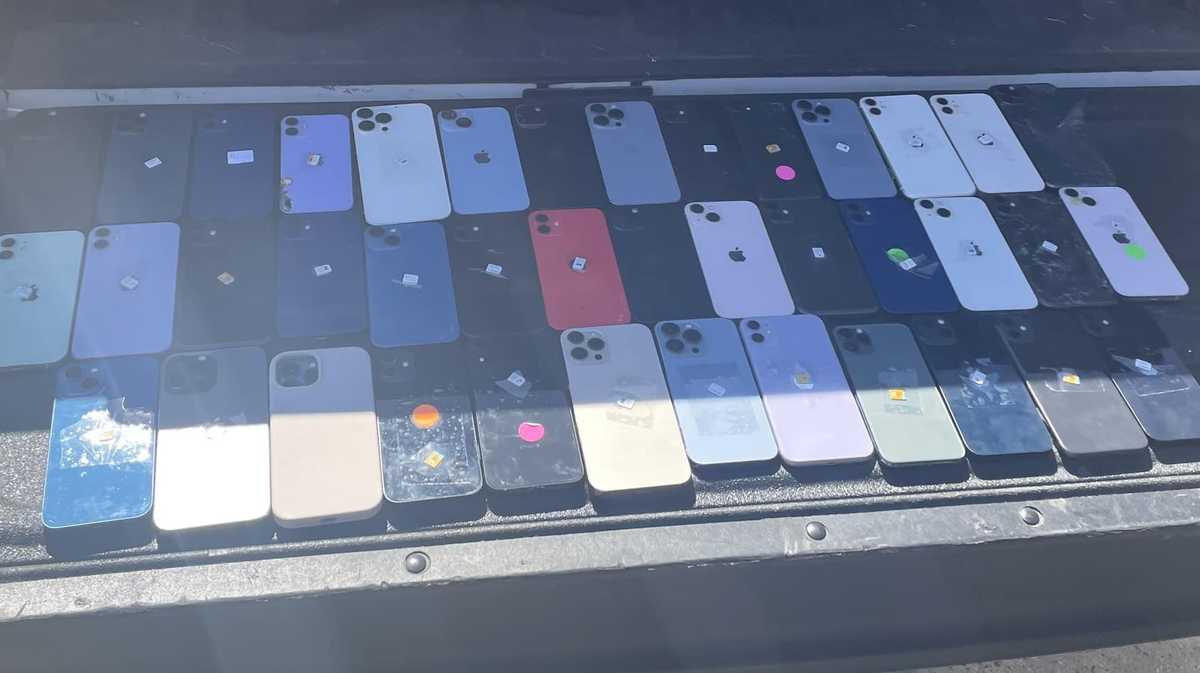 Tangipahoa sheriff Mardi Gras cell phone theft ring