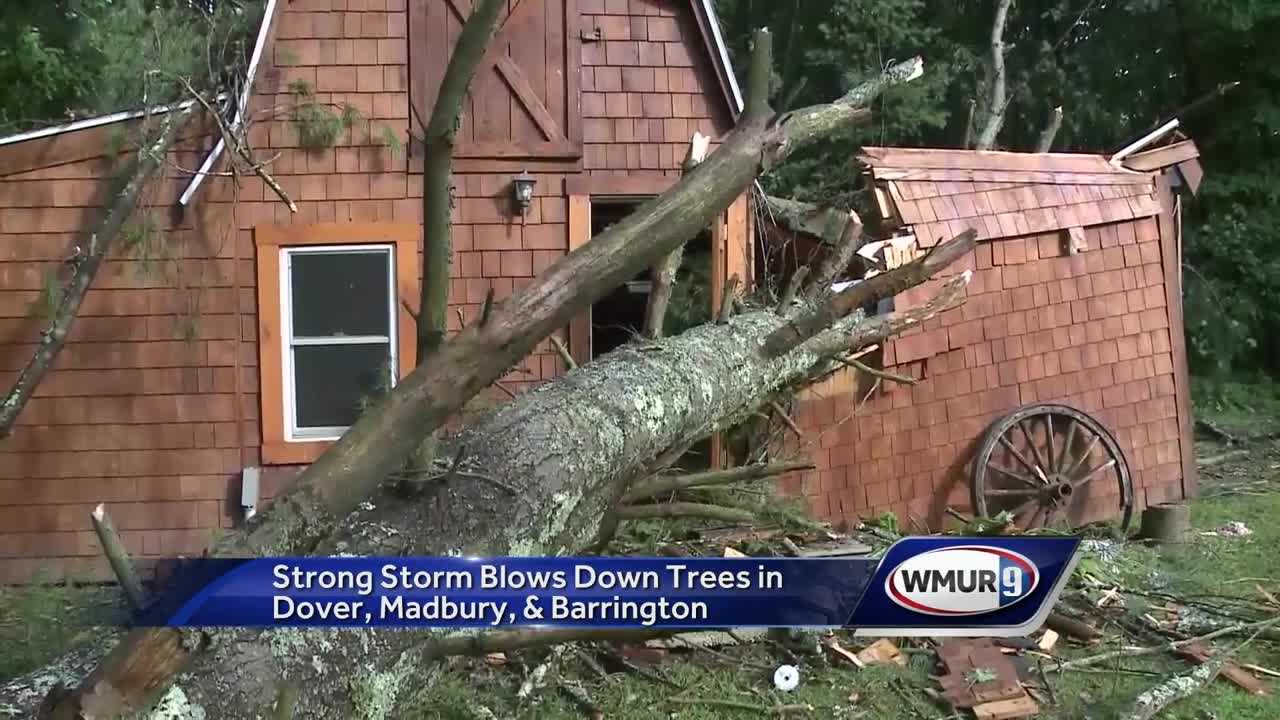 Power Knocked Out For Thousands As Strong Winds Bring Down Trees