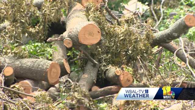 Cleanup continues, costs rise in northeast Baltimore after storm - Vimarsana News