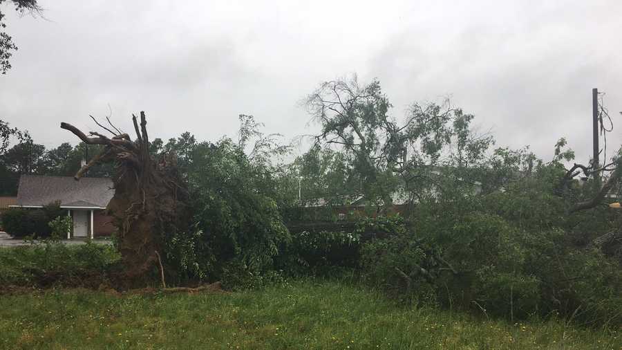 PHOTOS: Sunday storms cause damage across central Alabama