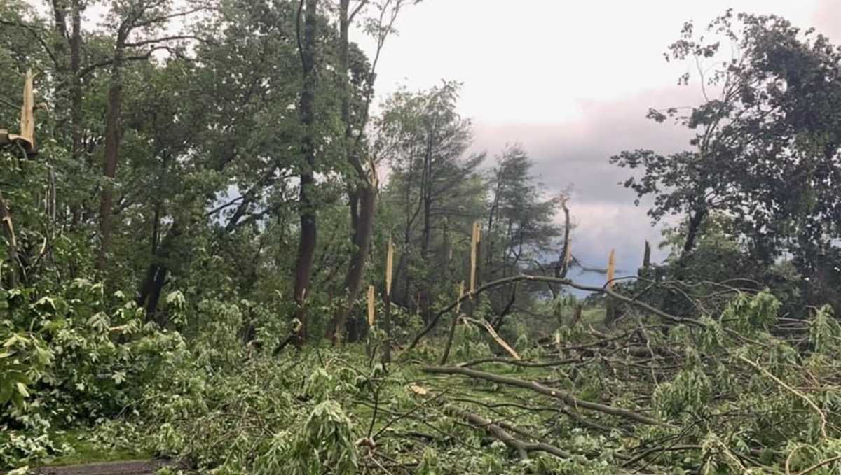 NWS confirms EF-1 tornado touched down near Jacksonville