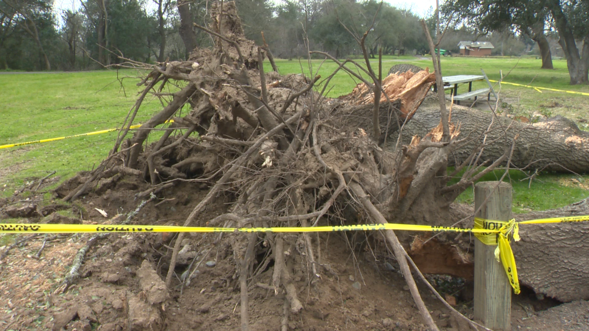 How a local proclamation could help Sacramento with storm cleanup