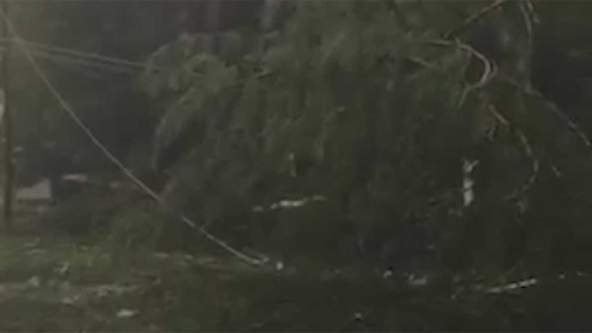 Raw Likely microburst causes significant damage in Swanzey