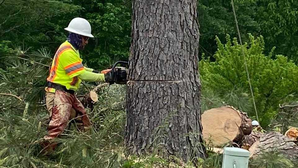 Hinds County community thankful for no serious injuries from Sunday's tornado - Vimarsana News
