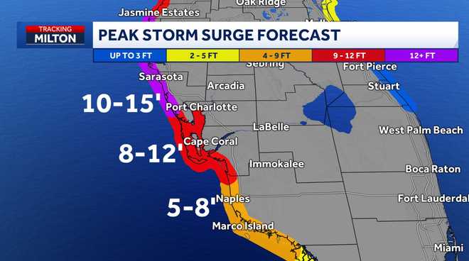 Peak storm surge forecast