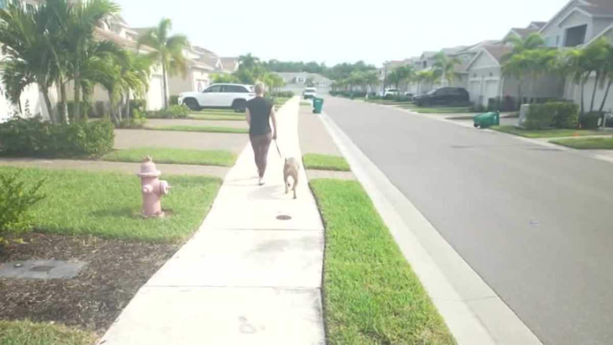 Naples woman fosters more than a dozen dogs to help with adoptions