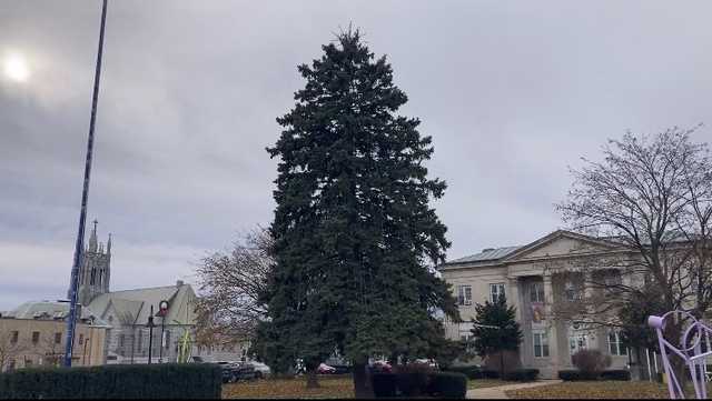 Social media post helps raise funds for Plattsburgh Christmas Tree - Vimarsana News