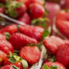 Strawberry farmer hopes steam holds the key to healthy soil and a better crop