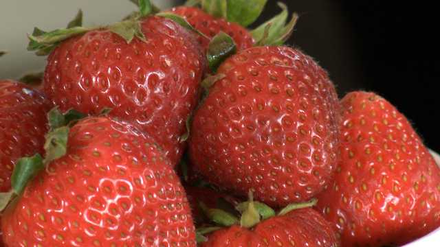 NH Chronicle: Everything Strawberry!