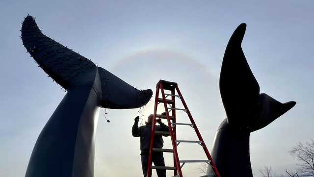 Meet the man who decorates the 'Whales Tails' for the holidays - Vimarsana News