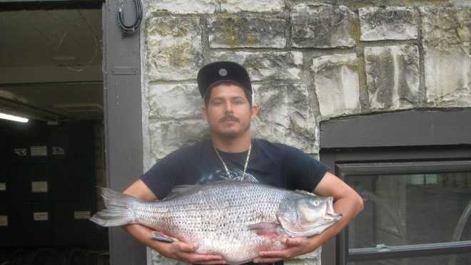 Missouri angler breaks 32-year record with 21-pound, 11-ounce striped bass