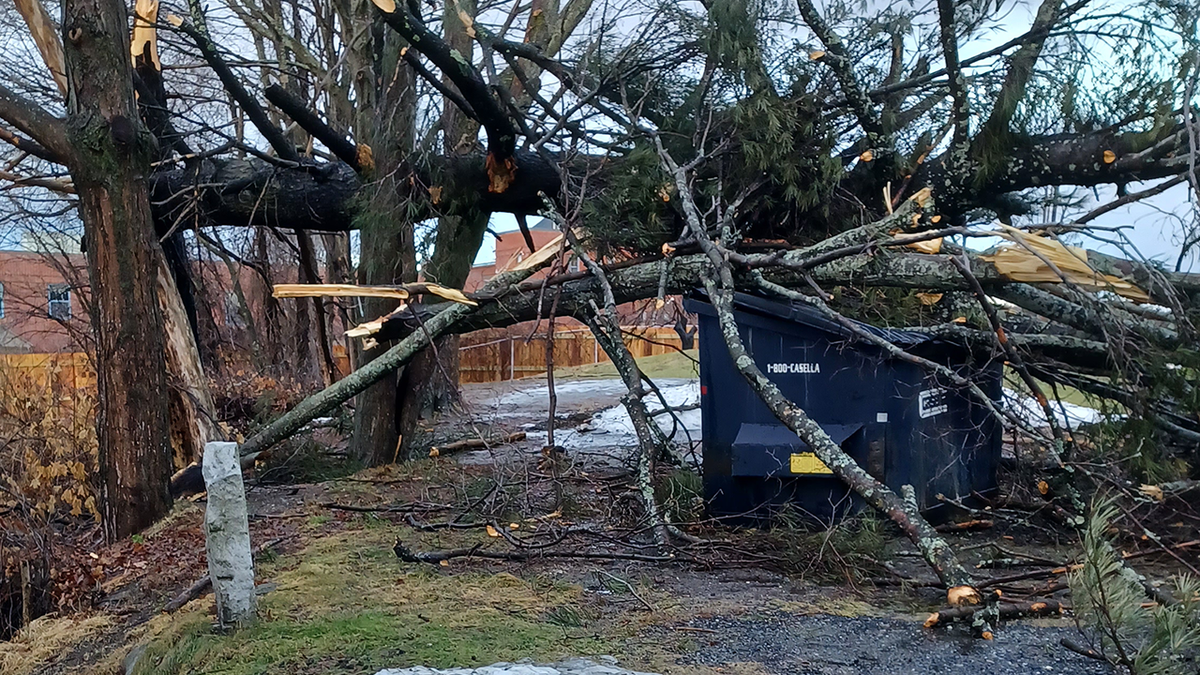 Gusty winds lead to power outages in New Hampshire