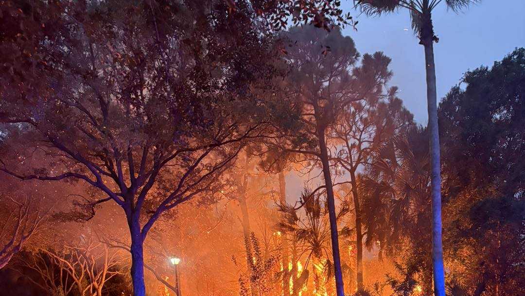 Brush fires in Stuart caused by lightning strikes