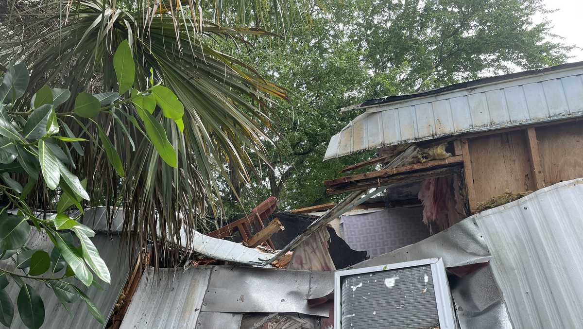 Tree falls on Florida home, trapping family inside