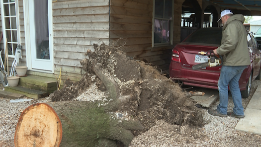 Springdale tornado recovery still in 'information gathering' stage - Vimarsana News