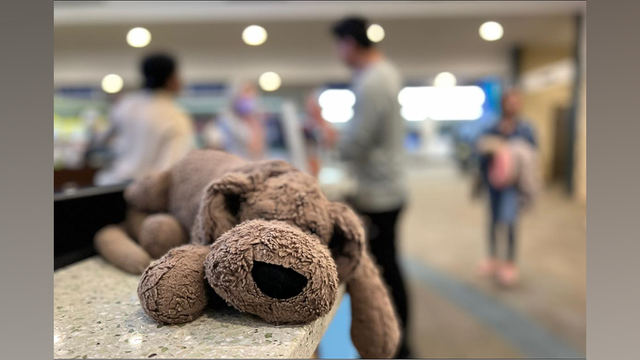 Georgia airport officials searching for owner of stuffed animal - Vimarsana News
