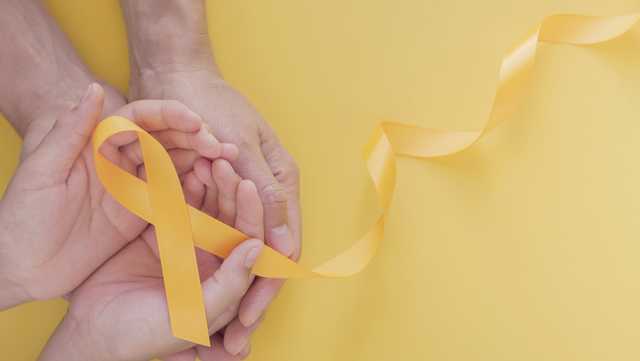 Vermont suicide prevention initiative seeks to curb deaths among residents - Vimarsana News