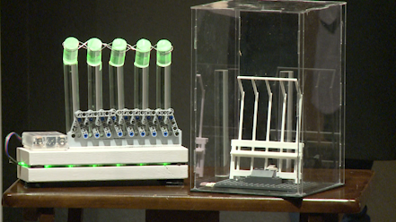 Dream Dogs design Plexiglass pillars to prevent suicides on pedestrian bridge
