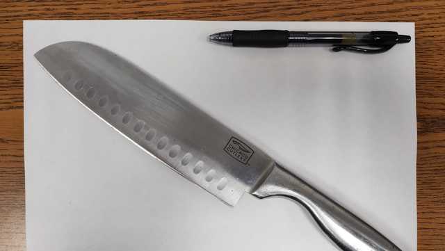 South Carolina boy threatens teacher, students with kitchen knife - Vimarsana News