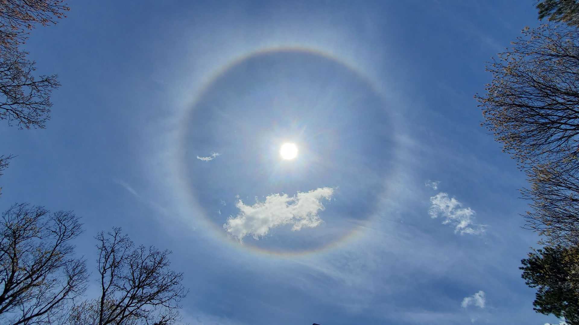 Astrophotos: Halo Around the Sun in South Africa Today - Universe Today