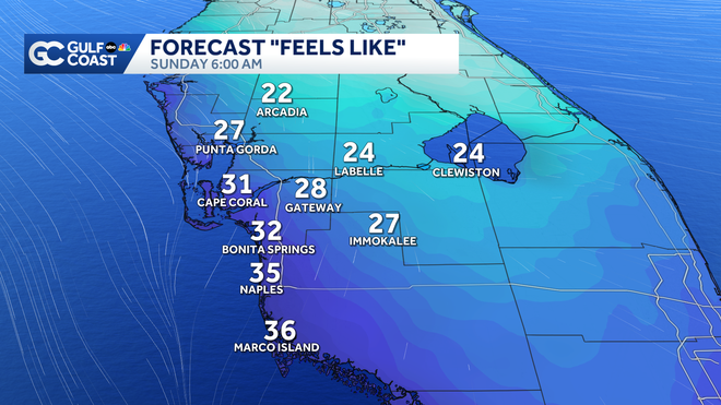 Bundle up: Long stretch of cold air grips the Gulf Coast