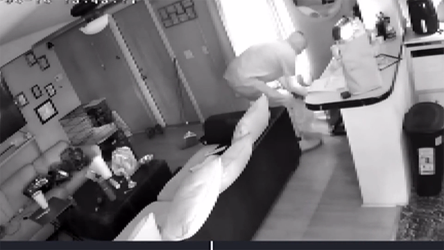 South Carolina: Video shows man breaking into home, stealing dogs - Vimarsana News