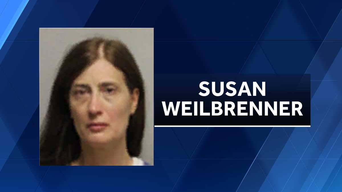 New Hampshire woman charged after dog found dead inside hot car