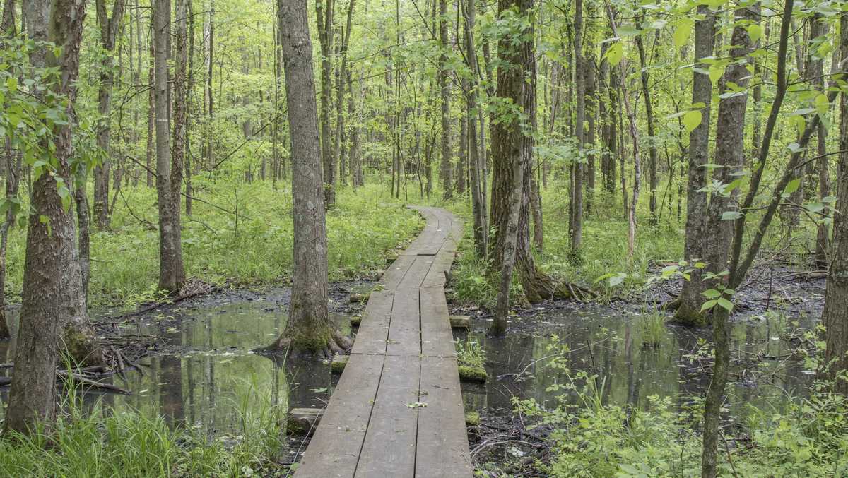 Military program to help conserve more than 3.5 million acres in ...