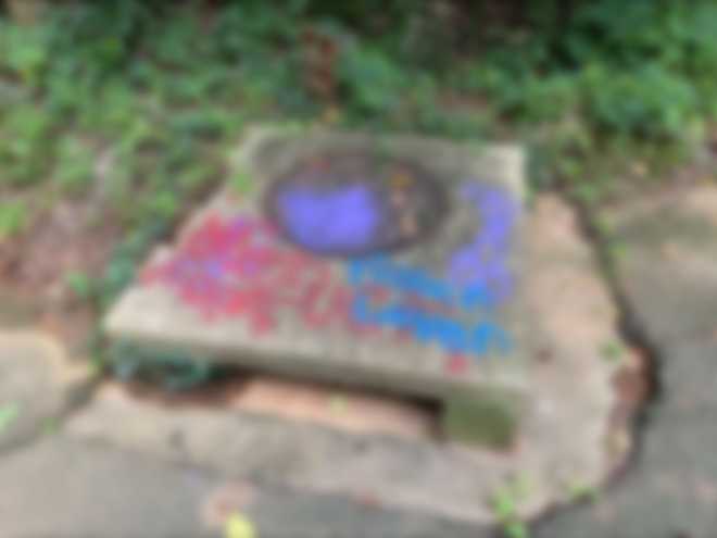 Greenville's Swamp Rabbit Trail vandalized overnight