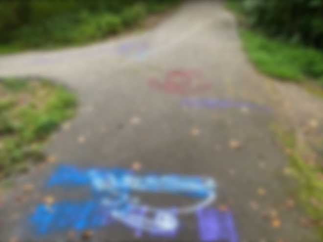Greenville's Swamp Rabbit Trail vandalized overnight