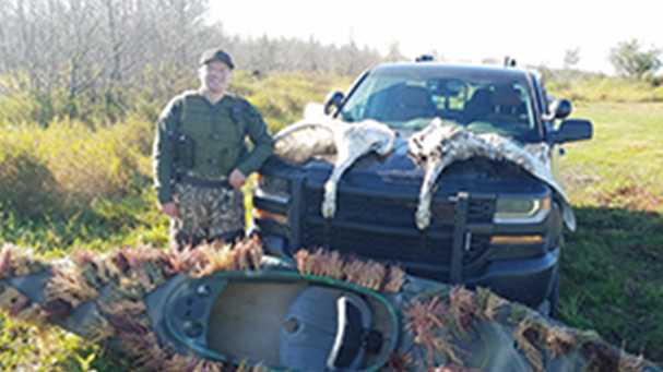 Brothers accused of illegally killing swans