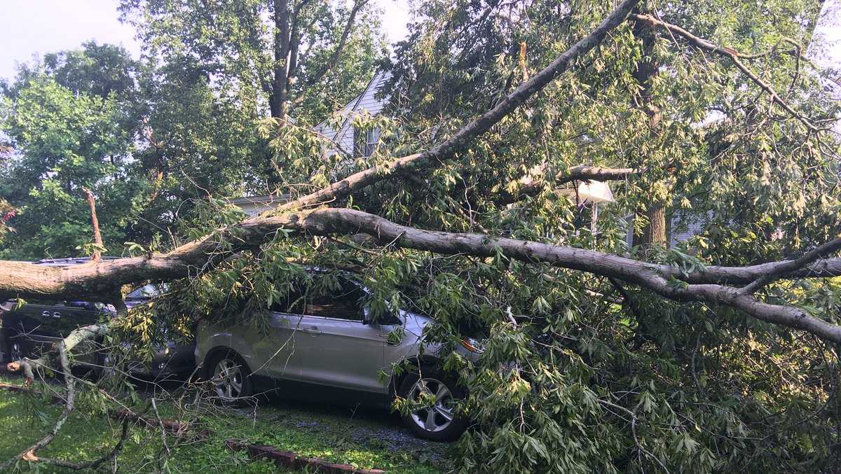 Fast-moving storm leaves behind downed trees, debris