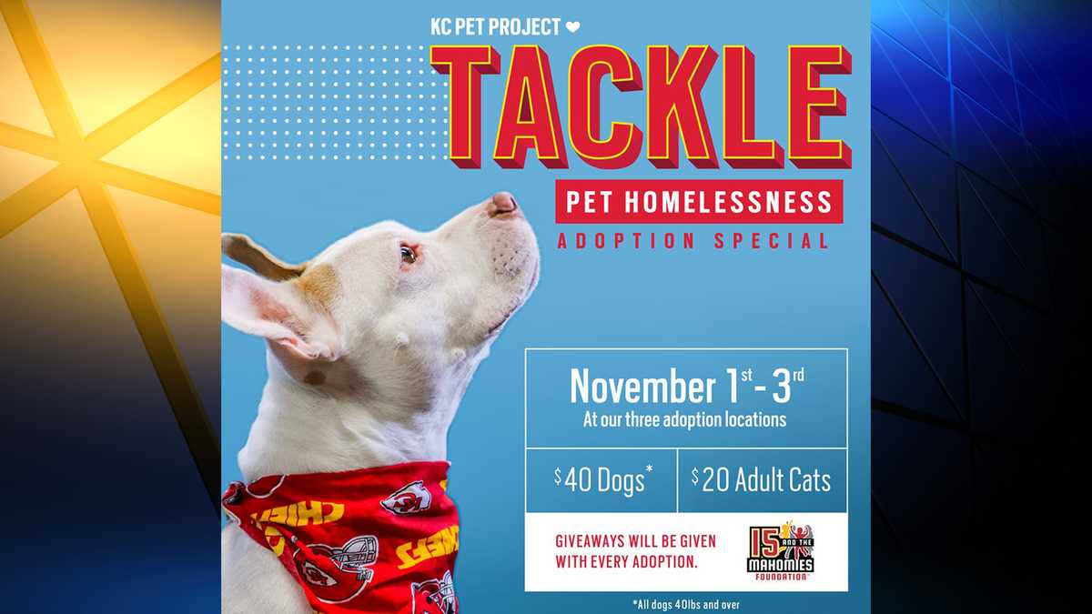 Kc Pet Project Patrick Mahomes 15 And The Mahomies Foundation Teaming Up To Help Pets Find Homes