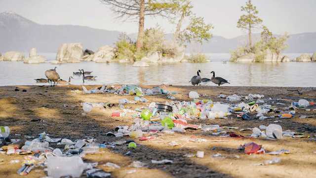 Major change coming to Tahoe's Zephyr Cove after partygoers trashed it - Vimarsana News