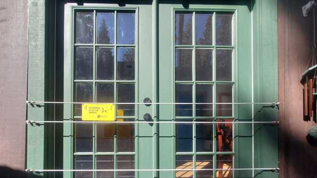From umbrellas to electric fences, the weird things Tahoe residents do to keep bears out of their houses - Vimarsana News