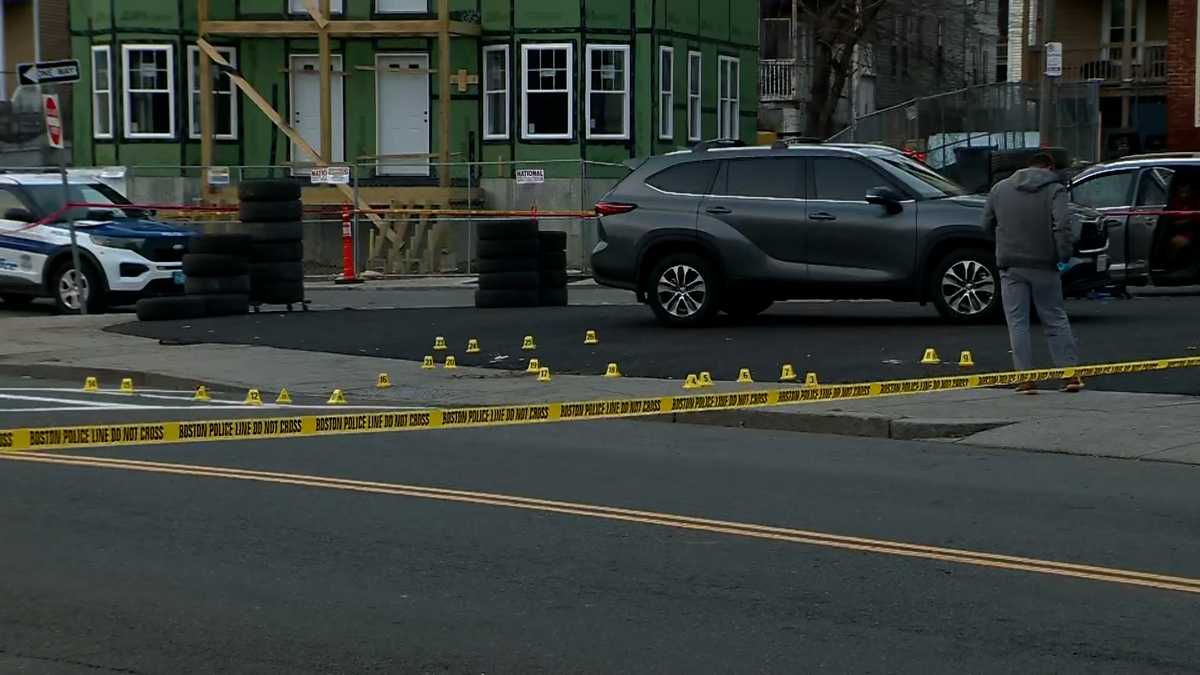 2 shot near Lee K8 School in Boston's Dorchester neighborhood