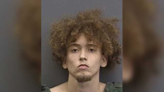 2 dead, 16 injured in Tampa shooting during Halloween celebrations - Vimarsana News